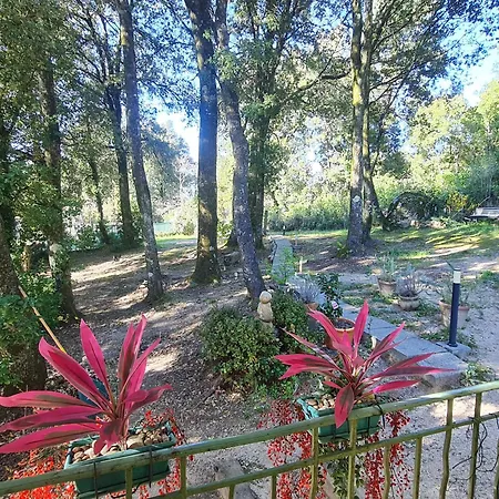 Semesterbostad A Casetta Di A Faragina *